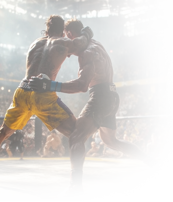 Online US MMA Betting Guide