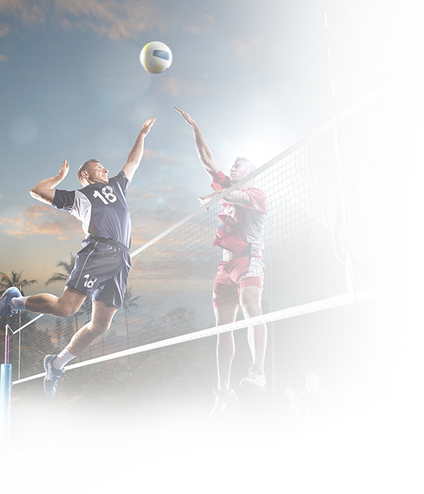 Online US Volleyball Betting Guide
