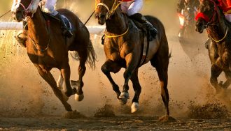 Horse Racing Industry