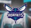 Player for Charlotte Hornets