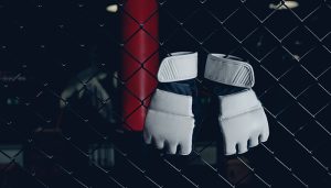 Who Are the Rising Stars of the UFC