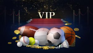 Sports Whale Play Betting Explained
