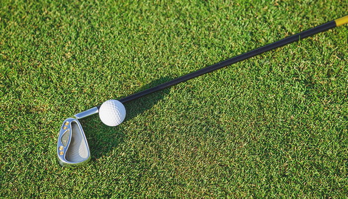 A golf club and a ball lying on a golf course