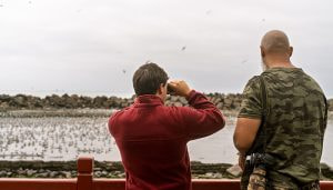 Hobbies For Athletes: Runescape, Piano Playing, and More