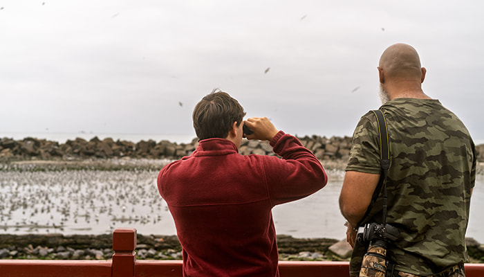 Men in the wildlife watching birds