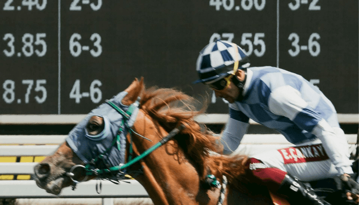 Jockey riding a racehorse at speed in front of a betting board