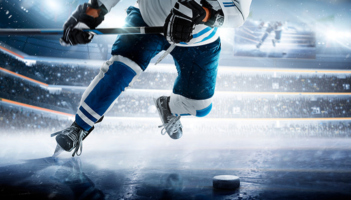 Wayne Gretzky on the ice